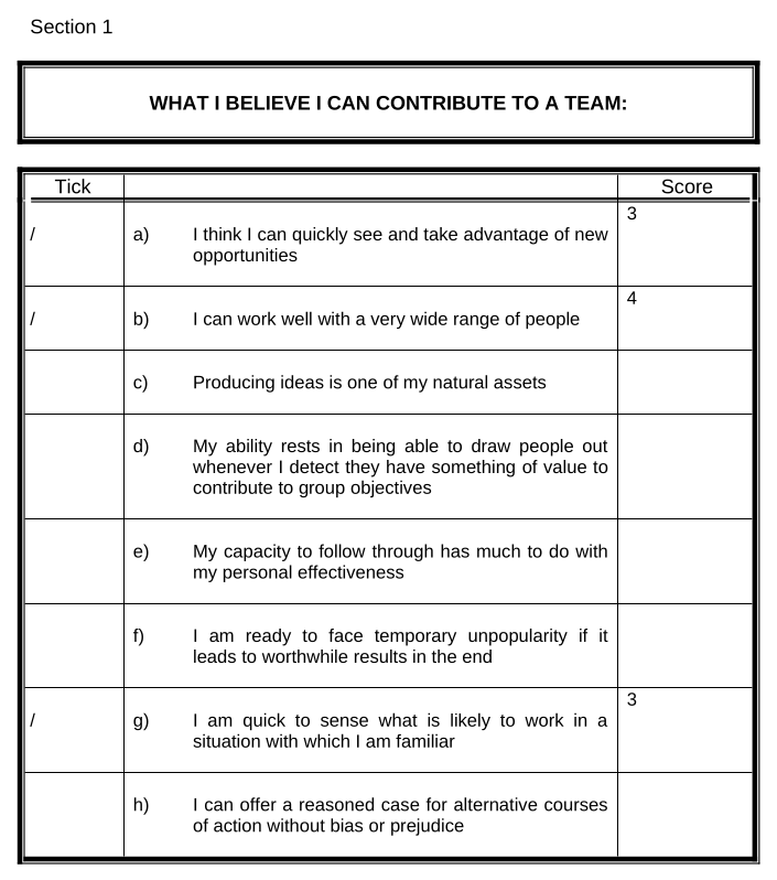 Original Belbin questionnaire as a 21-page Word document with tables and scoring grids